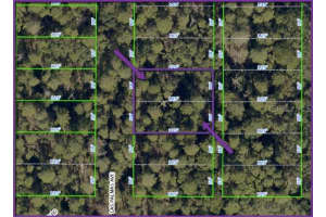 LAS PALMAS AVE #11-12, SPRING HILL, FL 34606 - MLS#MFRO6268733