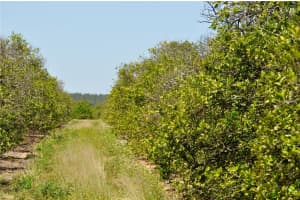 GROVE RD 2, LAKE WALES, FL 33898 Sold 05/29/25