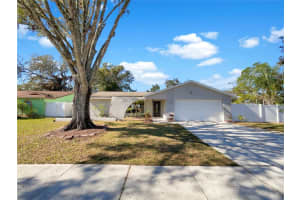17712 FALLOWFIELD DRIVE, LUTZ, FL 33549 Sold 02/25/25