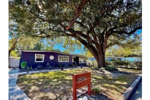 2514 MARKS STREET, ORLANDO, FL 32803 Sold 03/04/25
