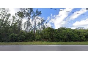 DEEN STILL RD, POLK CITY, FL 33868 - MLS#MFRO6269509