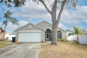 2025 WILDFIRE COURT, APOPKA, FL 32703 Sold 02/28/25