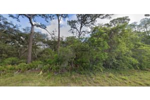 DEEN STILL RD, POLK CITY, FL 33868 - MLS#MFRO6269846