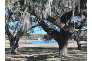 133 AVE, DUNNELLON, FL 34432 - MLS#MFRO6269903