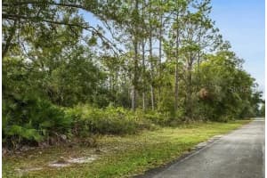 915 INDIAN LAKE DRIVE, INDIAN LAKE ESTATES, FL 33855 - MLS#MFRO6270033
