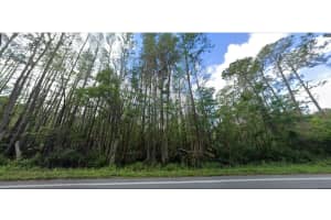 DEEN STILL RD, POLK CITY, FL 33868 - MLS#MFRO6270333