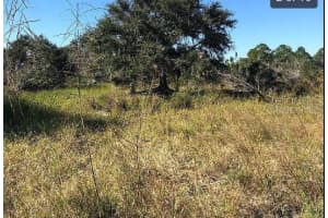 HWY 60 E, LAKE WALES, FL 33898 - MLS#MFRO6270341