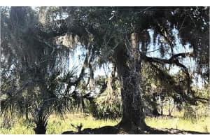 HWY 60 E, LAKE WALES, FL 33898 - MLS#MFRO6270344