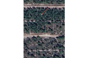 449 HUMMINGBIRD AVENUE, SEBRING, FL 33872 Sold 02/12/25