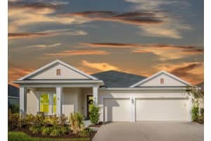 17791 Passionflower Cir, CLERMONT