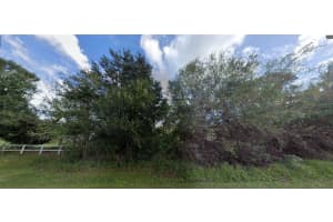 TALL PINE RD, POLK CITY, FL 33868 - MLS#MFRO6270665
