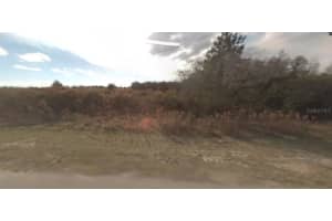 BACKLAND PATH RD, POLK CITY, FL 33868 - MLS#MFRO6270678