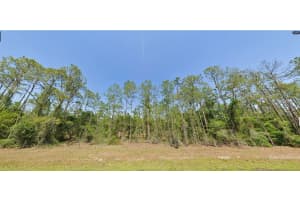 RIVER RANCH BLVD, LAKE WALES, FL 33898 - MLS#MFRO6270681
