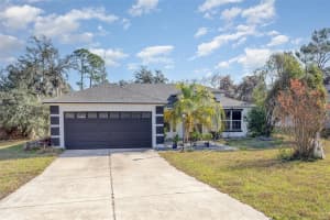 34514 HAINES CREEK ROAD, LEESBURG, FL 34788 Sold 03/19/25