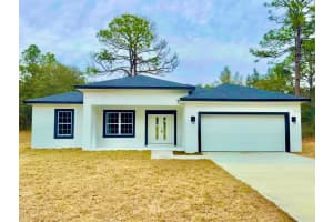 8641 PARADISEA DRIVE, CITRUS SPRINGS, FL 34433 Sold 07/14/25
