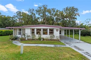 2010 Brookside Dr, MOUNT DORA