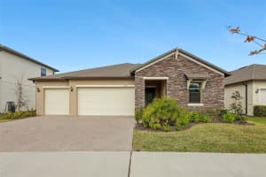 8796 LITTLE BLUESTEM DRIVE, LAND O LAKES, FL 34637 Sold 04/01/25