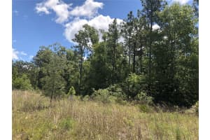 15107 CANVASBACK ROAD, BROOKSVILLE, FL 34614 - MLS#MFRO6271598