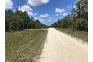 15107 CANVASBACK ROAD, BROOKSVILLE, FL 34614 - MLS#MFRO6271598