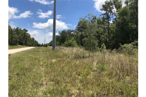 15107 CANVASBACK ROAD, BROOKSVILLE, FL 34614 - MLS#MFRO6271598