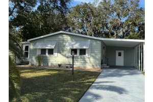 1311 EAST SCHWARTZ BOULEVARD, LADY LAKE, FL 32159 Sold 03/28/25