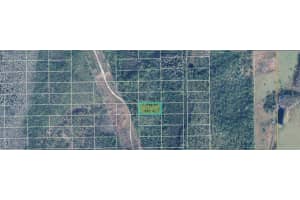 DILL RD, ORLANDO, FL 32820 - MLS#MFRO6271692