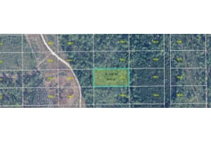 DILL RD, ORLANDO, FL 32820 - MLS#MFRO6271692