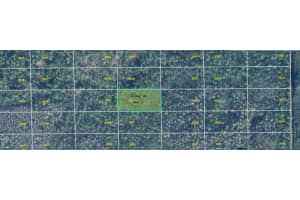 DILL RD, ORLANDO, FL 32820 - MLS#MFRO6271698