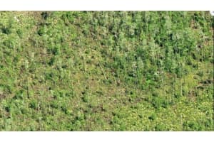 DILL RD, ORLANDO, FL 32820 - MLS#MFRO6271699