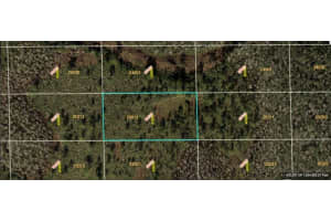 DILL RD, ORLANDO, FL 32820 - MLS#MFRO6271702