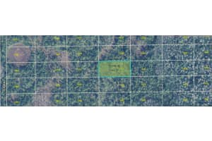 DILL RD, ORLANDO, FL 32820 - MLS#MFRO6271704