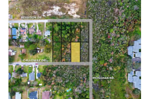 2207 CALLOWAY DRIVE, ORLANDO, FL 32810 - MLS#MFRO6271899
