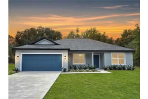 160 GUAVA TERRACE, OCKLAWAHA, FL 32179 Sold 03/14/25