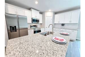 160 GUAVA TERRACE, OCKLAWAHA, FL 32179 Sold 03/14/25