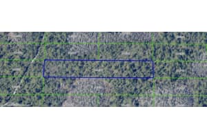 DILL RD, ORLANDO, FL 32820 - MLS#MFRO6272100