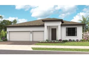 14451 Coastal Woodland Ln, PARRISH