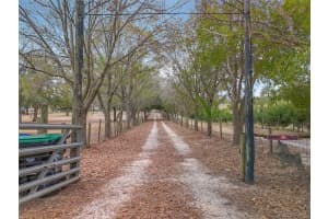 17952 LOOKOUT HILL ROAD, WINTER GARDEN, FL 34787 Sold 04/15/25