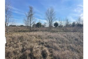 Lot 18 HAMMOCK GROVE ROAD, GROVELAND, FL 34736 Sold 09/08/25