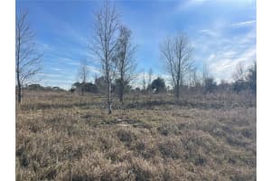 Lot 18 HAMMOCK GROVE ROAD, GROVELAND, FL 34736 Sold 09/08/25