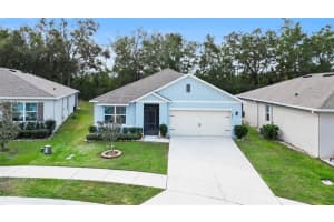 3627 Crimson Clover Dr, MOUNT DORA