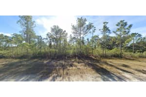 809 PORTULACA DRIVE, INDIAN LAKE ESTATES, FL 33855 - MLS#MFRO6272535