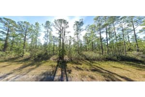 711 JAPONICA AVENUE, INDIAN LAKE ESTATES, FL 33855 - MLS#MFRO6272545