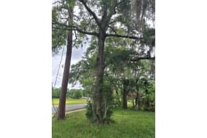 67 21 STREET, OCALA, FL 34475 - MLS#MFRO6272604