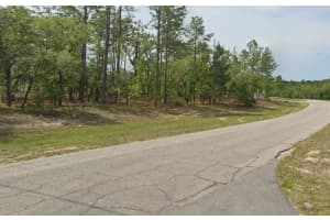 6664 BEDSTROW BOULEVARD, DUNNELLON, FL 34434 Sold 02/14/25
