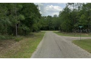 60 FALCON STREET, DUNNELLON, FL 34434 - MLS#MFRO6272769