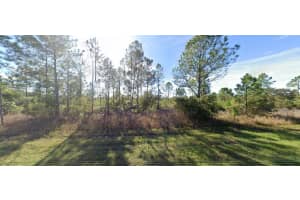 411 ALLAMANDA DRIVE, INDIAN LAKE ESTATES, FL 33855 - MLS#MFRO6272881