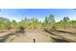 CALENDULA DR, INDIAN LAKE ESTATES, FL 33855 - MLS#MFRO6272882