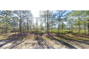 703 ALBA DRIVE, INDIAN LAKE ESTATES, FL 33855 - MLS#MFRO6272887