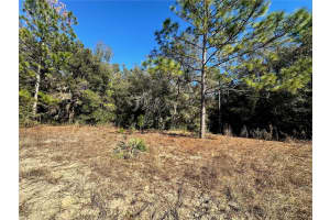 Lot 21 SW 151ST TERRACE, OCALA, FL 34481 Sold 03/10/25