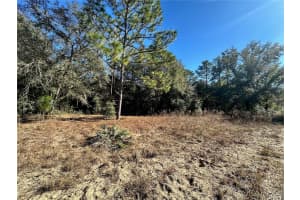Lot 21 SW 151ST TERRACE, OCALA, FL 34481 Sold 03/10/25